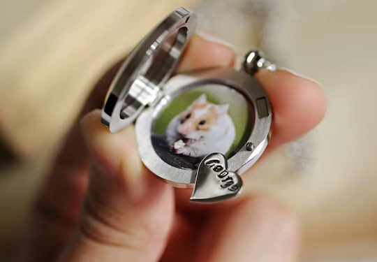 Forever Hamster Cremation Service Options 540 X 375 1