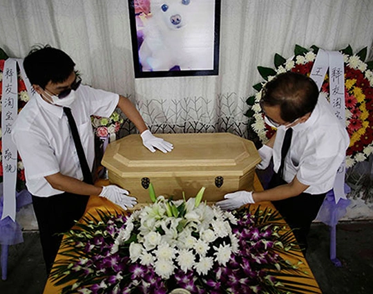 Pet Cremation Service